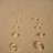 footprints-in-the-sand