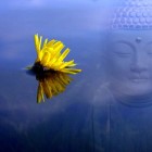 Sat Chit Ananda